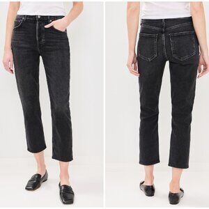 Agolde Riley High Rise Straight Crop Jean in Panoramic